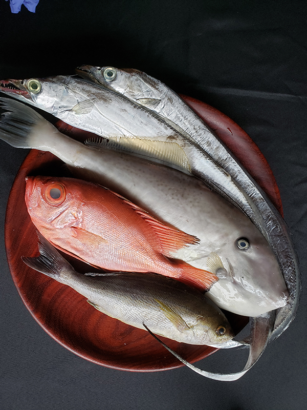 Assorted Fish