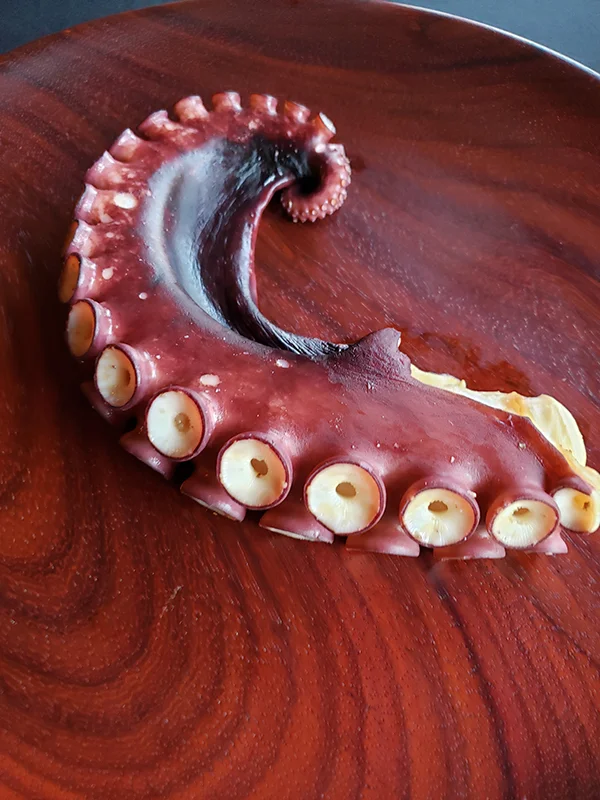 Octopus