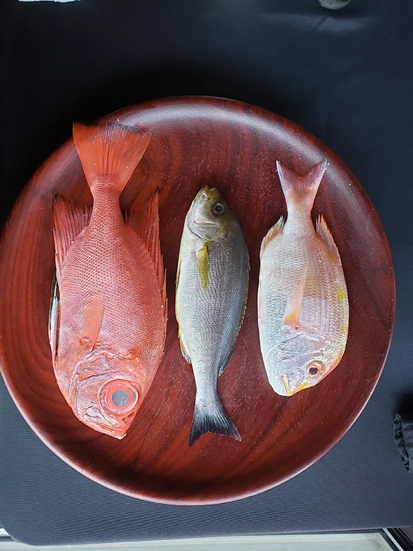 Assorted Fish
