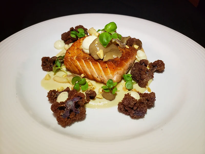 Salmon Special