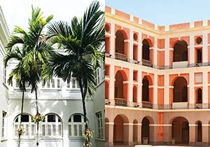 Curious Book Inside v7d78.jpg