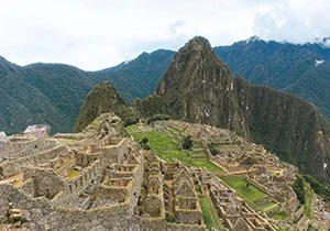 Curious Book Inside v7d62.jpg