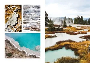 Curious Book Inside v7d92.jpg