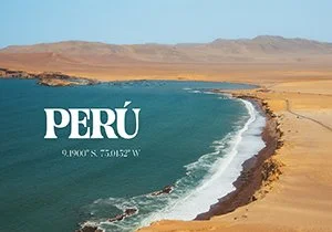 Curious Book Inside v7d56.jpg