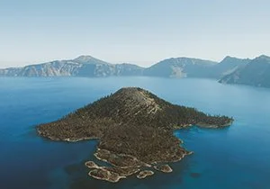 Curious Book Inside v7d98.jpg