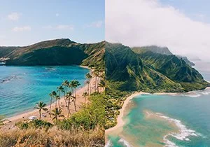 Curious Book Inside v7d45.jpg