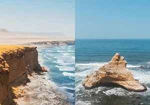 Curious Book Inside v7d57.jpg