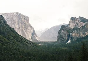 Curious Book Inside v7d93.jpg