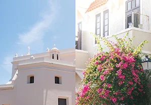 Curious Book Inside v7d77.jpg