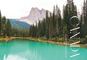 Curious Book Inside v7d5.jpg