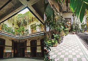 Curious Book Inside v7d36.jpg