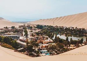 Curious Book Inside v7d68.jpg