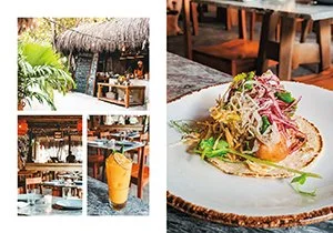 Curious Book Inside v7d31.jpg