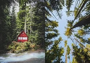 Curious Book Inside v7d95.jpg