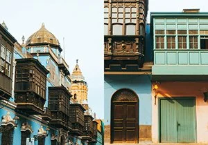 Curious Book Inside v7d64.jpg