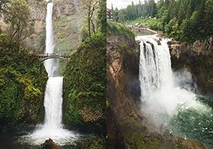 Curious Book Inside v7d94.jpg