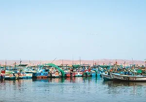 Curious Book Inside v7d58.jpg