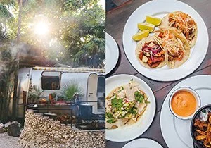 Curious Book Inside v7d32.jpg