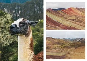 Curious Book Inside v7d61.jpg