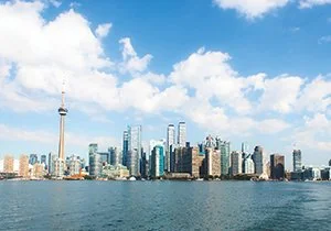 Curious Book Inside v7d15.jpg