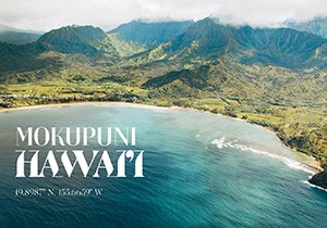 Curious Book Inside v7d42.jpg