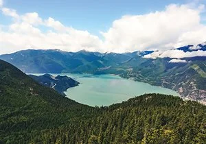 Curious Book Inside v7d8.jpg