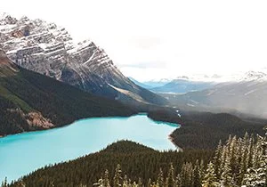 Peyto Lake
