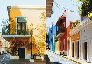 Curious Book Inside v7d72.jpg