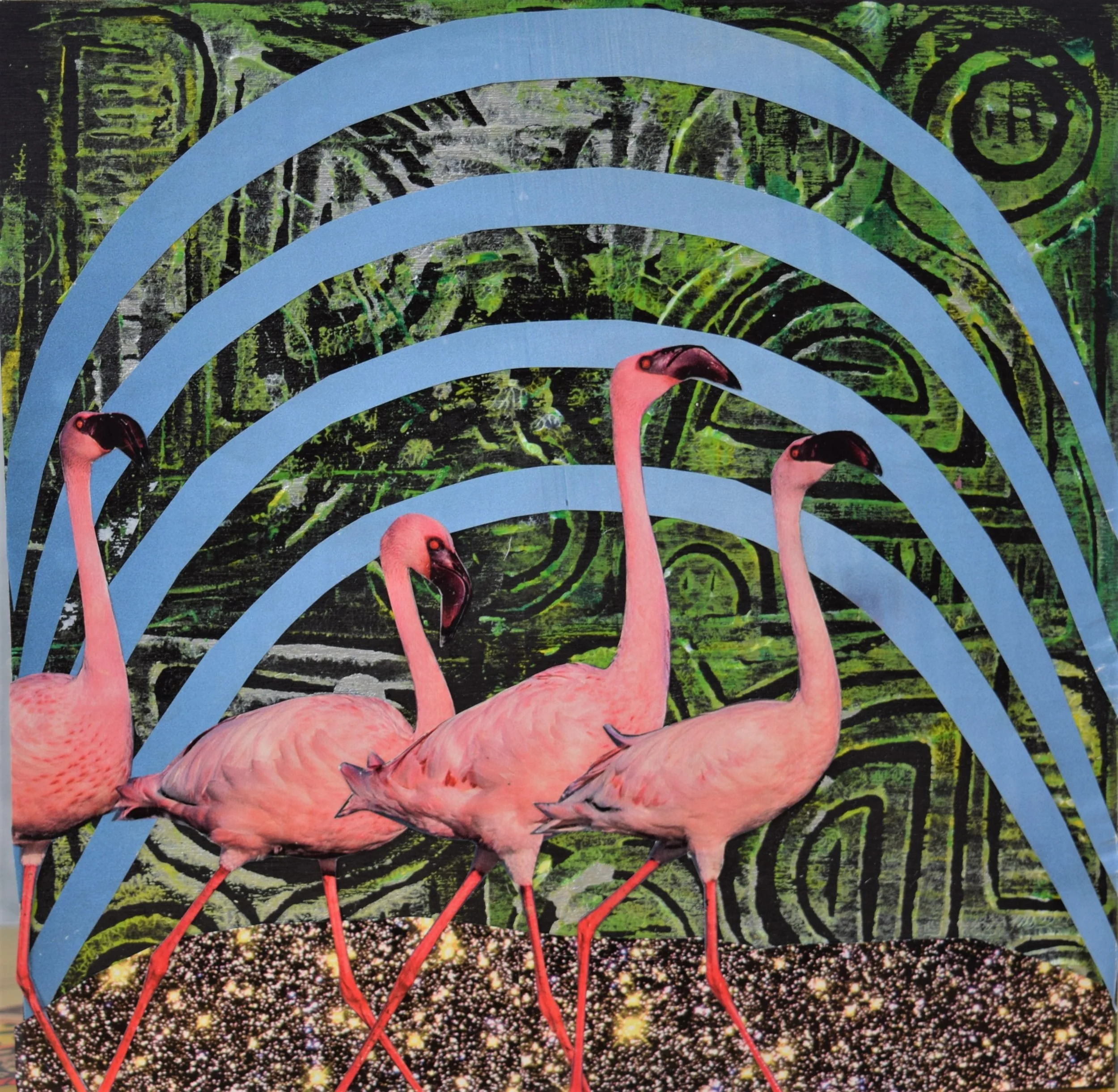 twinkle toes limited edition