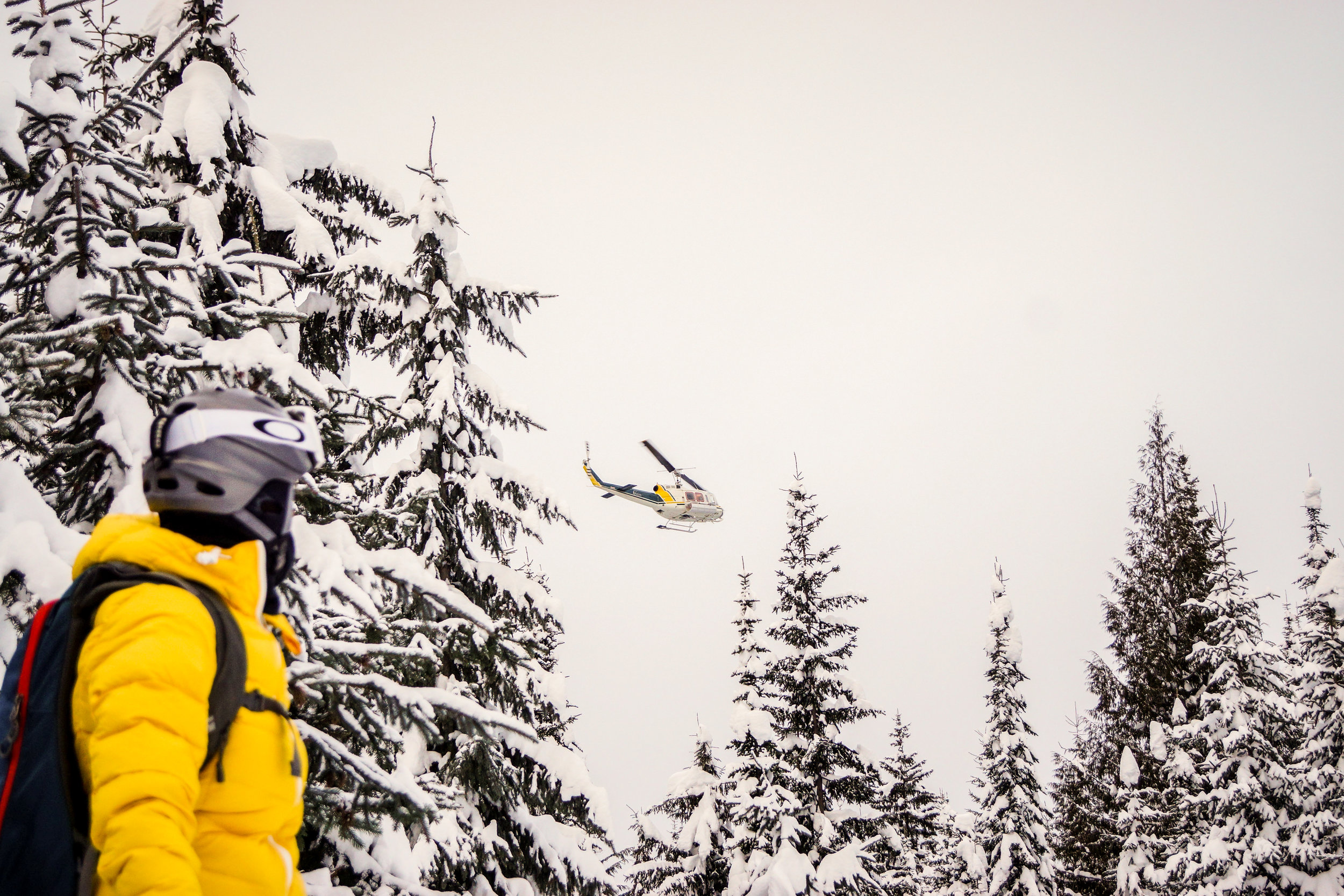 Helicopter Skiing Photo
