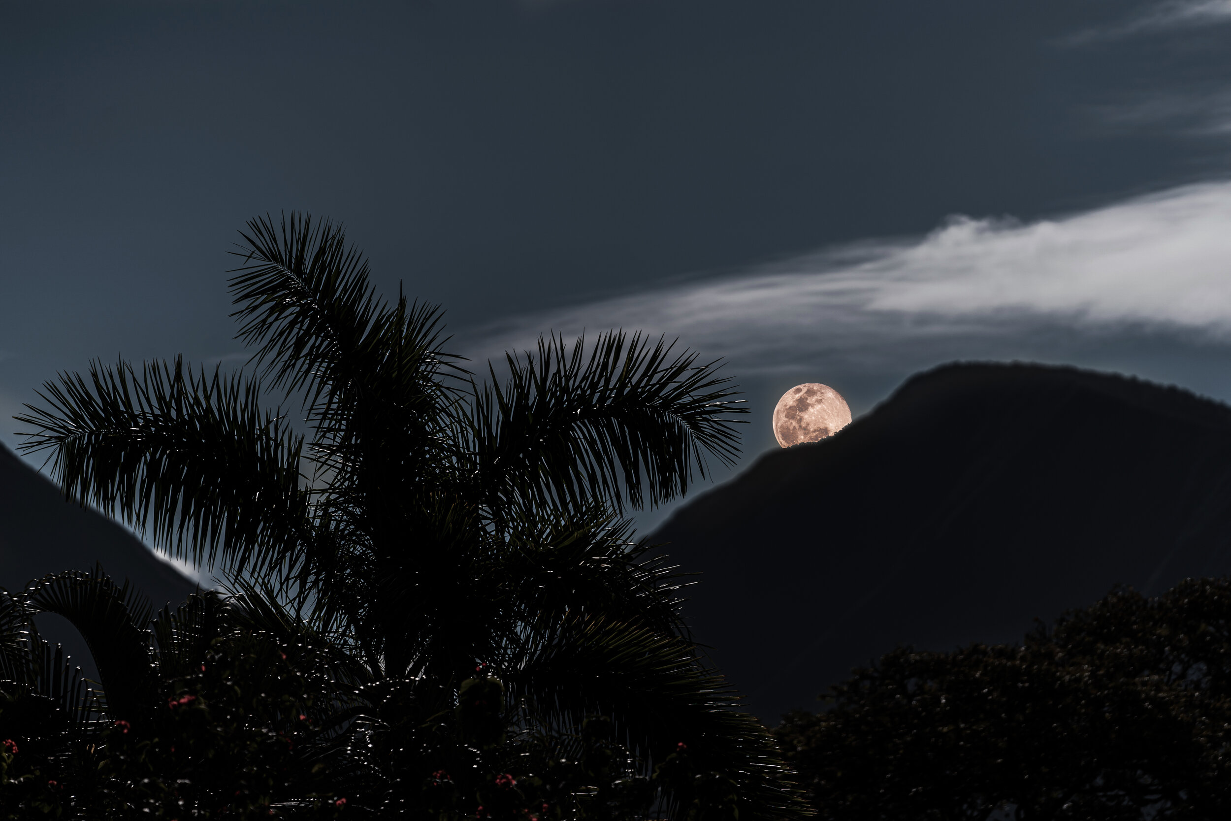 maui moon '20 ©Rachael Zimmerman Photography-102584-3.jpg