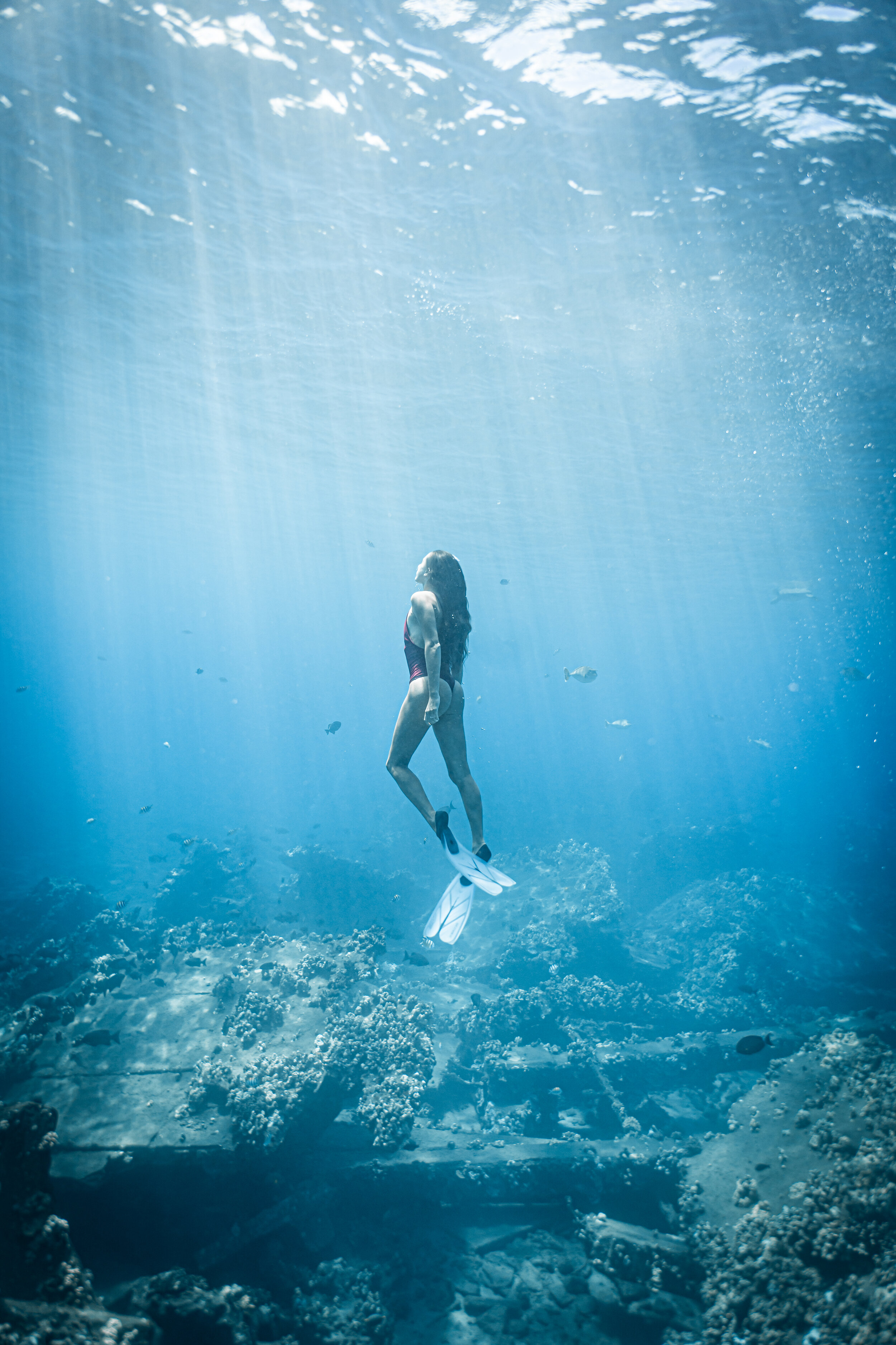 morgan underwater '20 ©Rachael Zimmerman Photography-107079-2.jpg