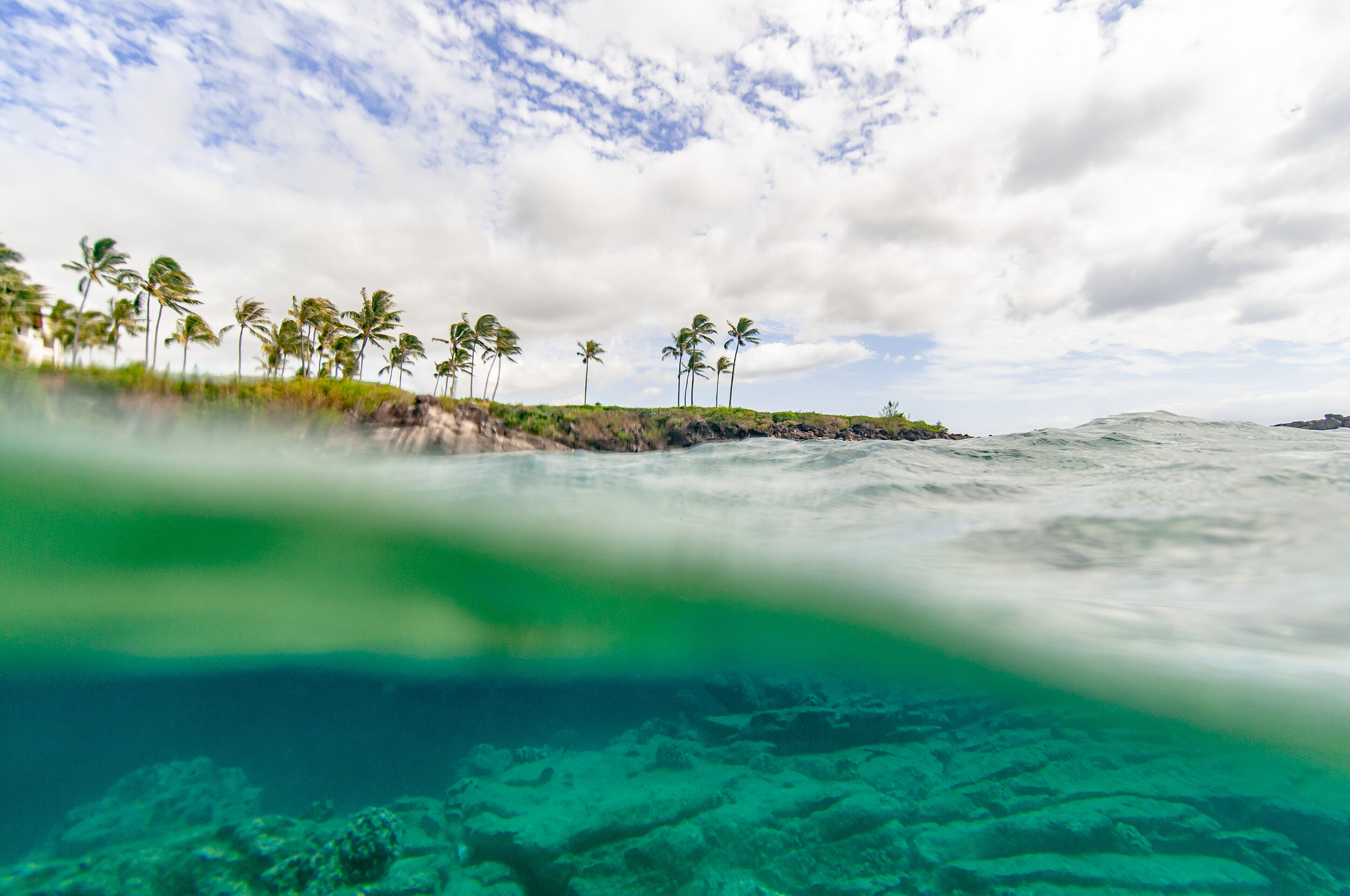 maui landscape '19 ©Rachael Zimmerman Photography-4254.jpg