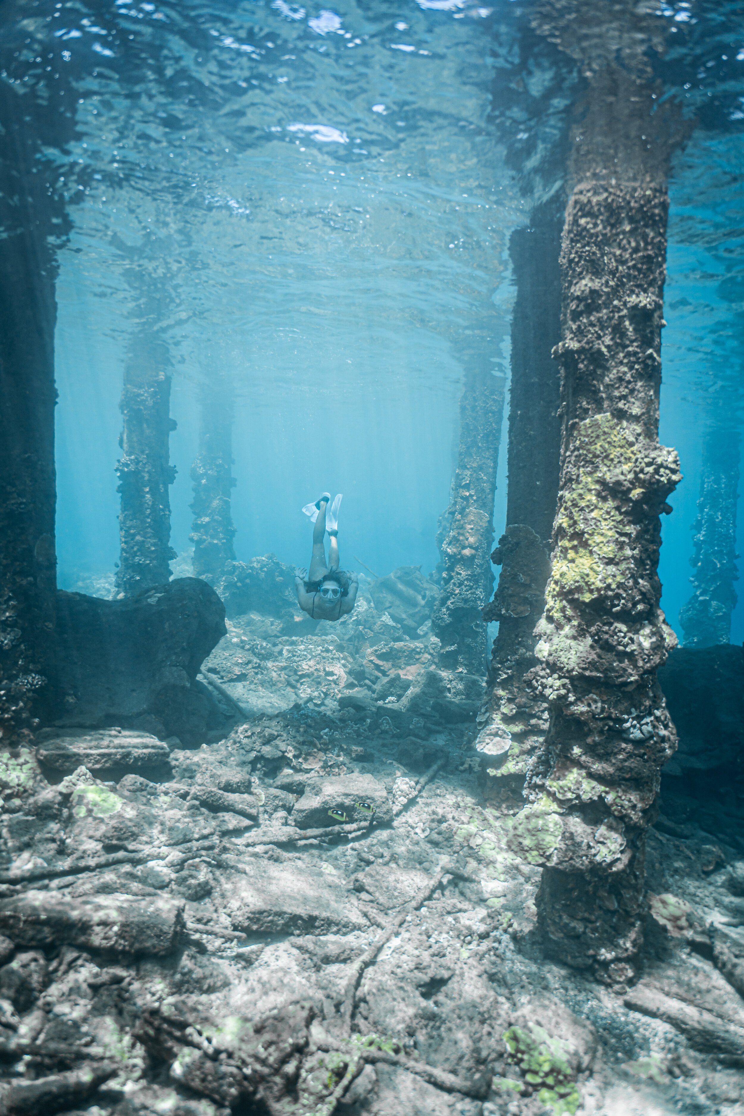 morgan underwater '20 ©Rachael Zimmerman Photography-107104.jpg