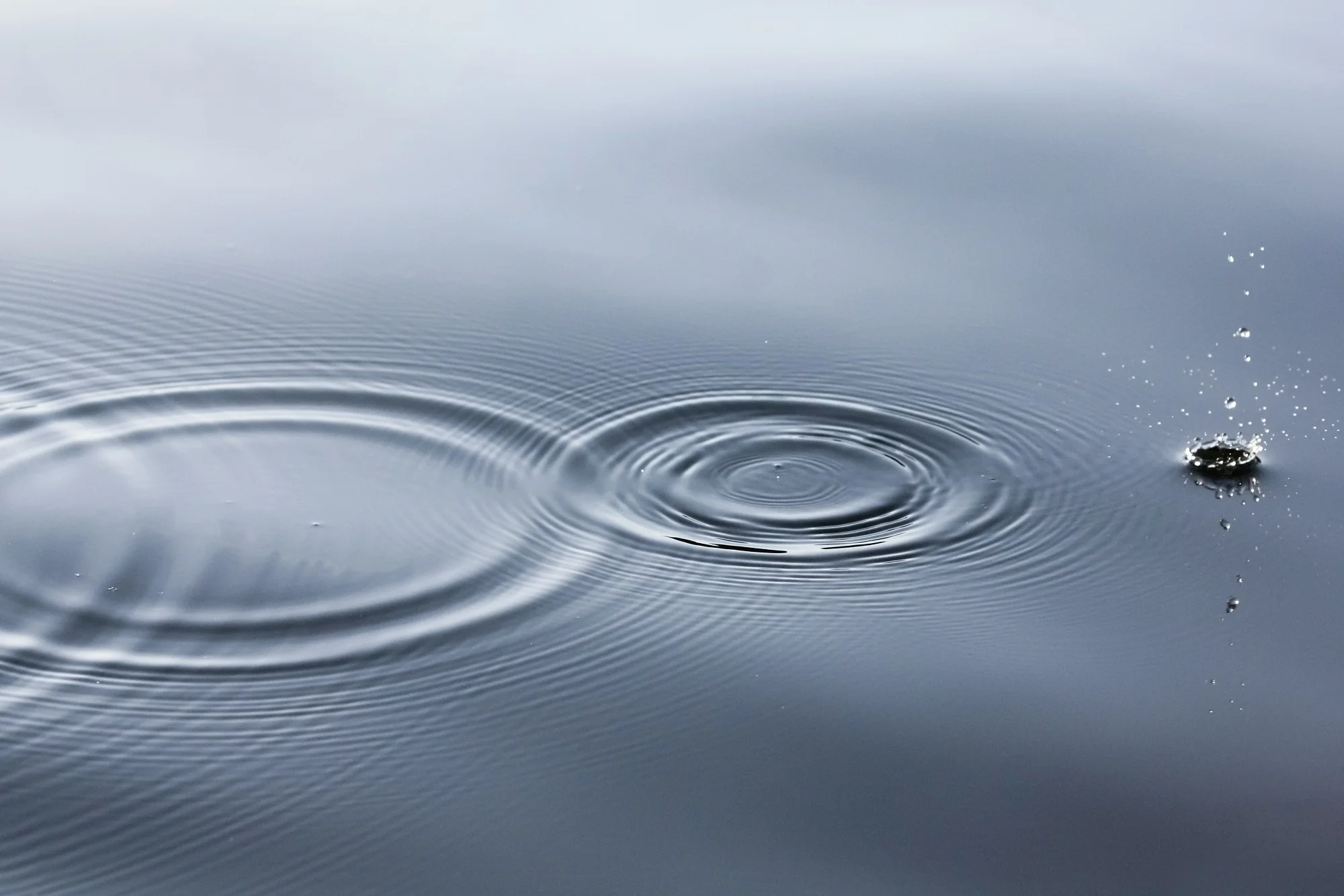 Drops of water falling in the lake.