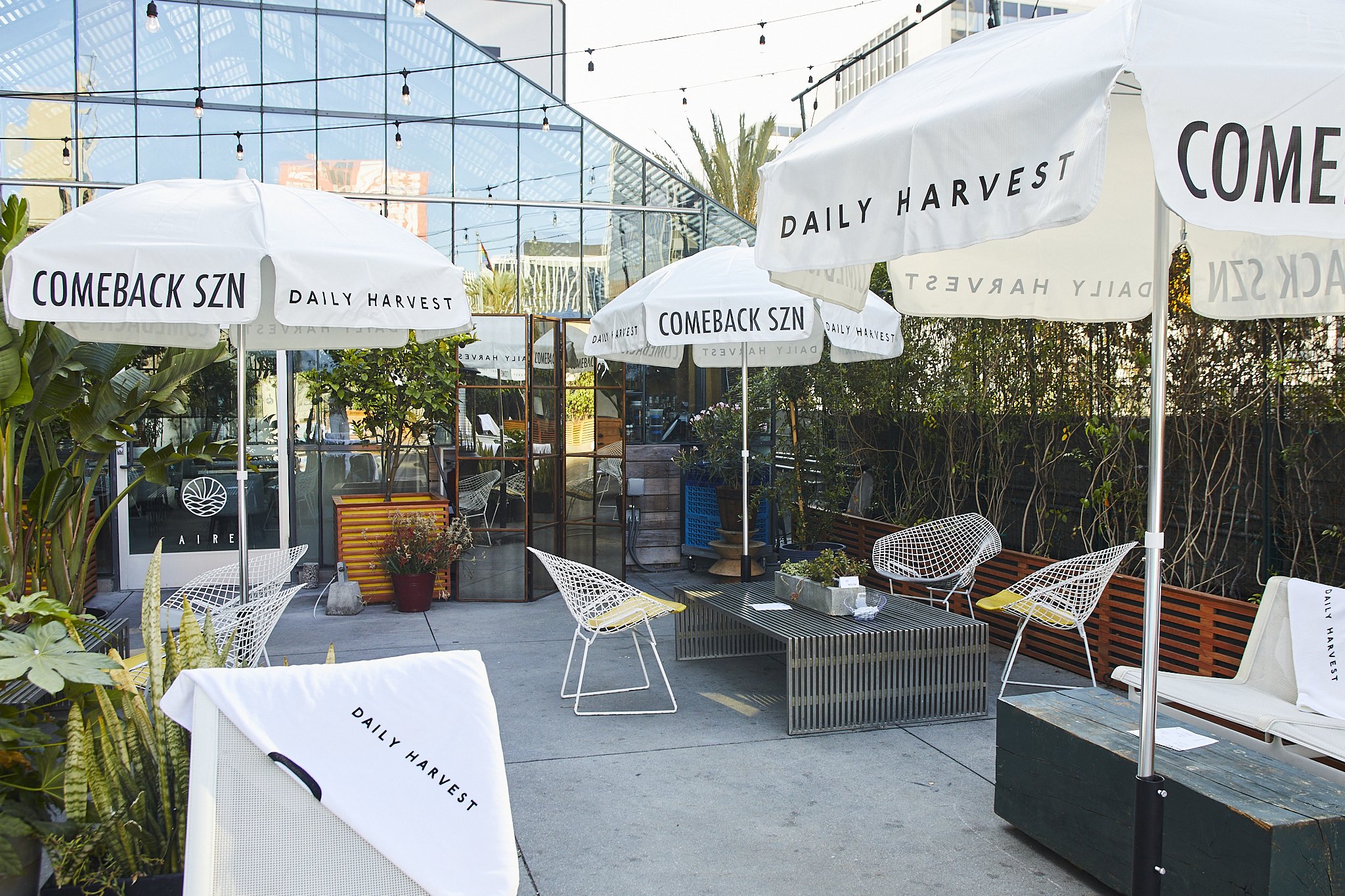 2021.06_Jennelle Fong_Daily Harvest x Line Hotel_Q4A4645_2x3.jpg