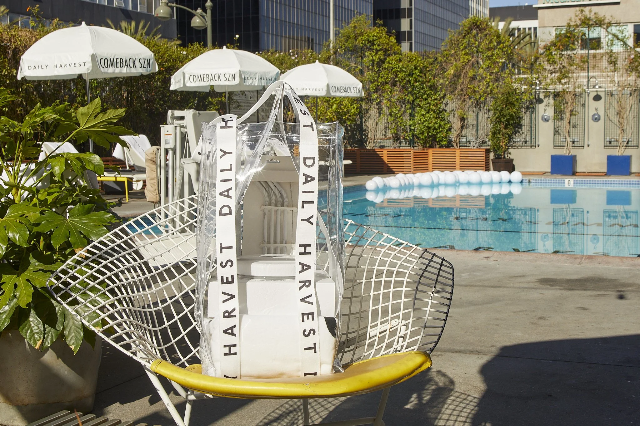 2021.06_Jennelle Fong_Daily Harvest x Line Hotel_Q4A4762_2x3.jpg