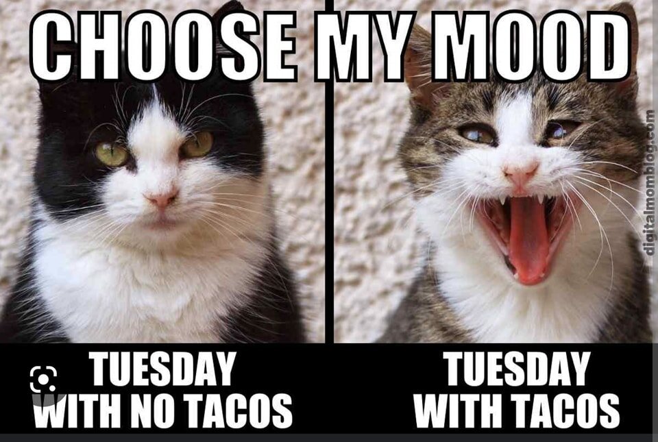 Taco Tuesday
Grab 3 packs of ground beef and get a FREE BLOCK of cheese!!!