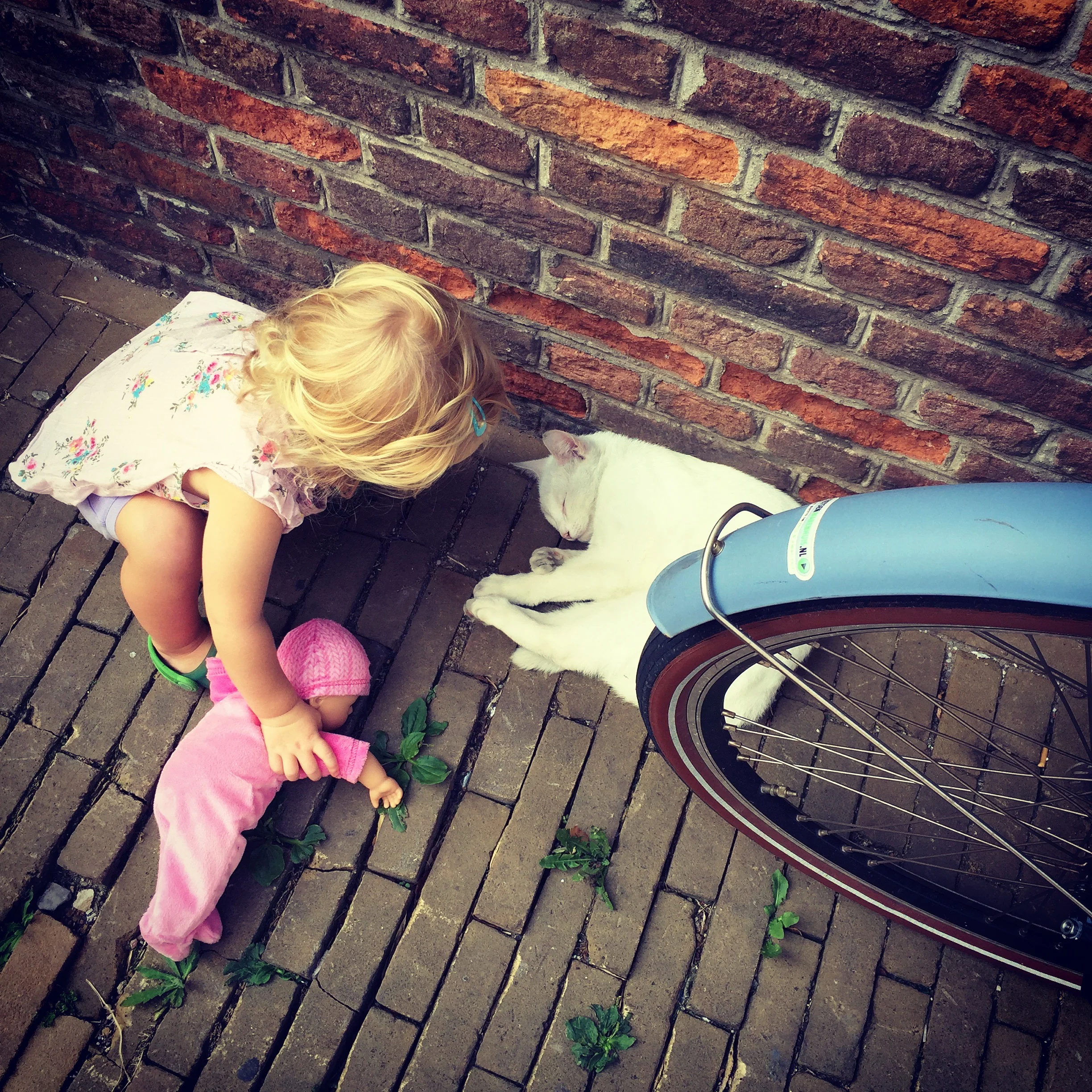 making new friends in Amsterdam