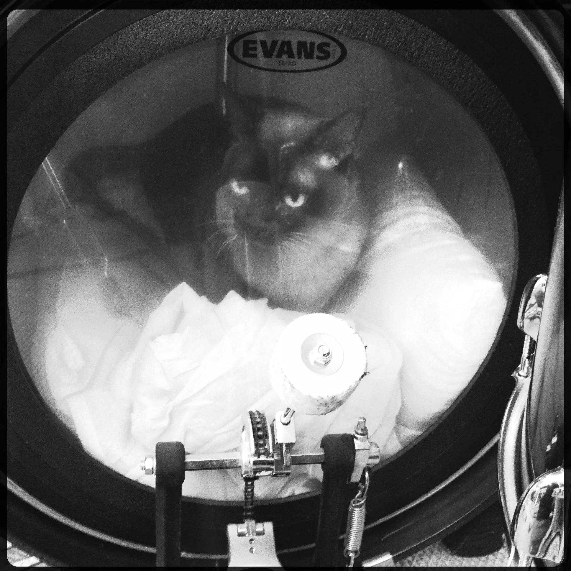 Jeff inside a bass drum