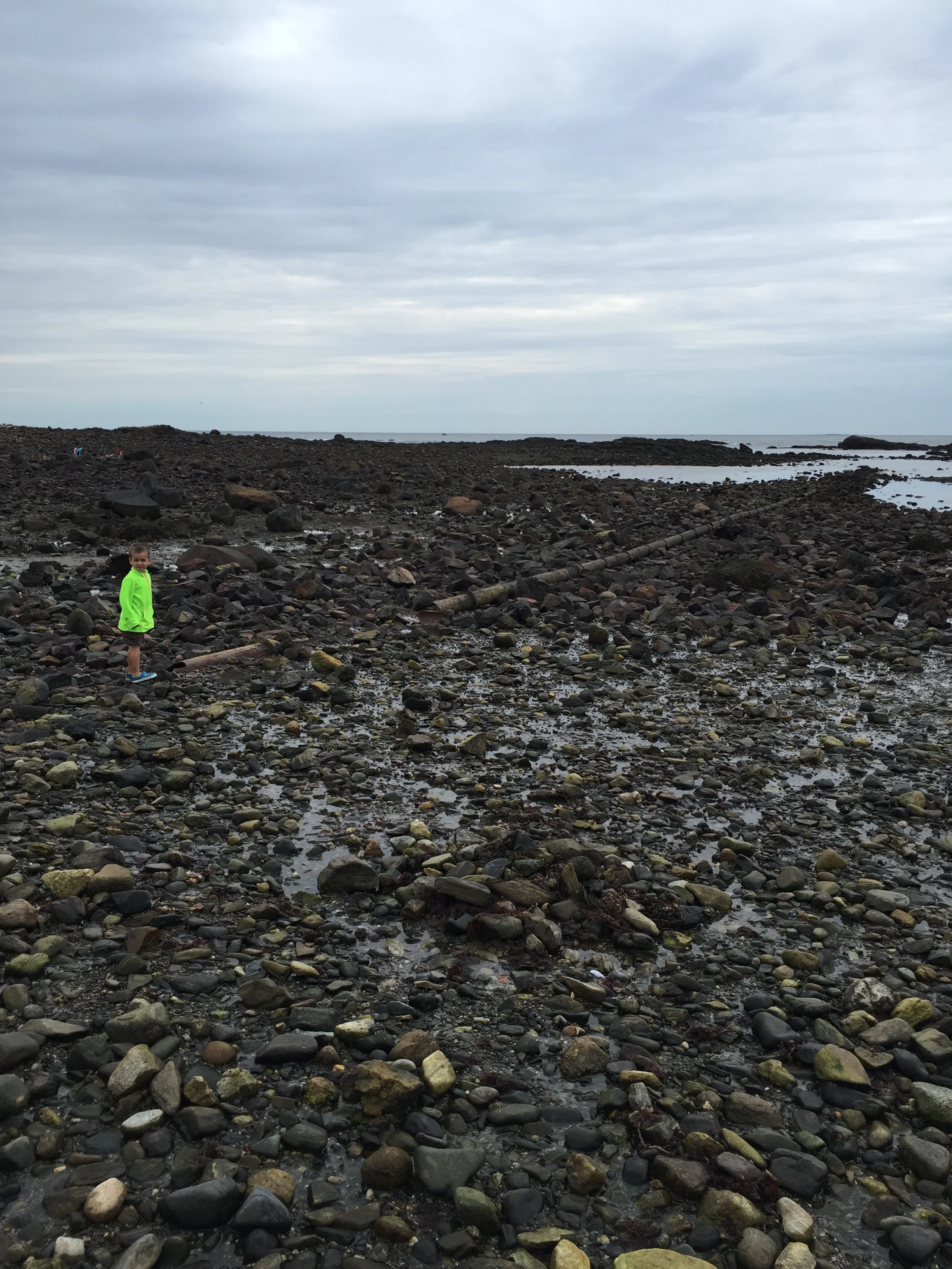 Make a bingo sheet of things you might see along your nature walk. We looked for sea glass and periwinkles during our walk by the ocean.