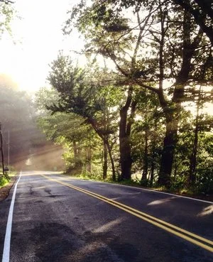 Life Lately: on being nomads and the news