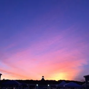 Zooma Cape Cod 10K Race Recap