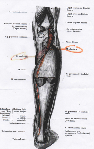 Training and Injury Update and Dr. Cool Wrap Winners Announced