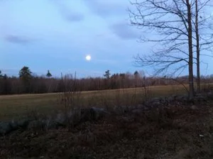 In the Stillness You are There