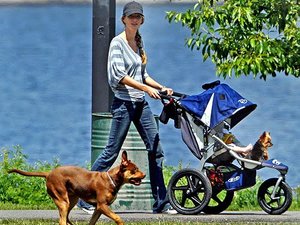 BOB goes High Fashion