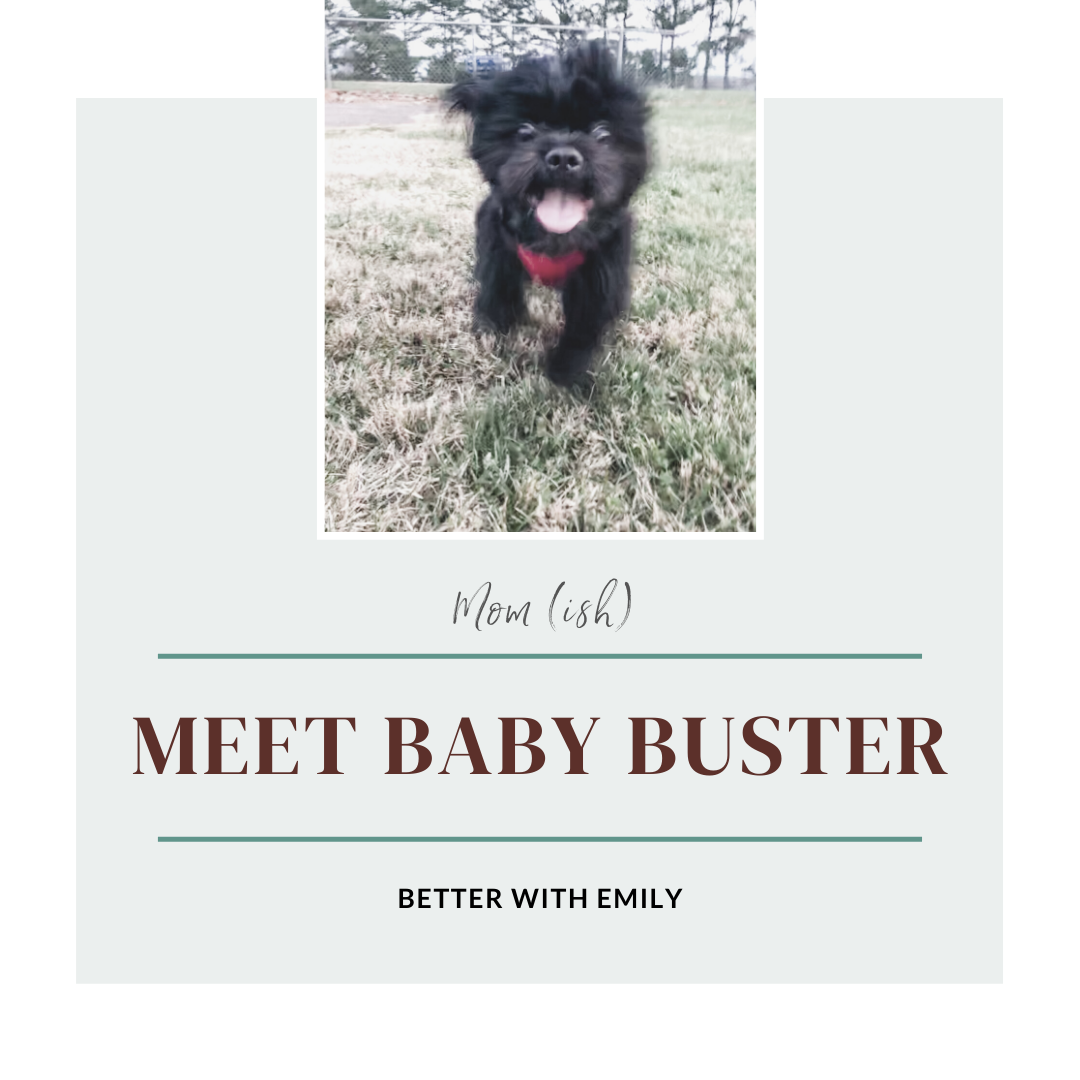 Our newest addition 