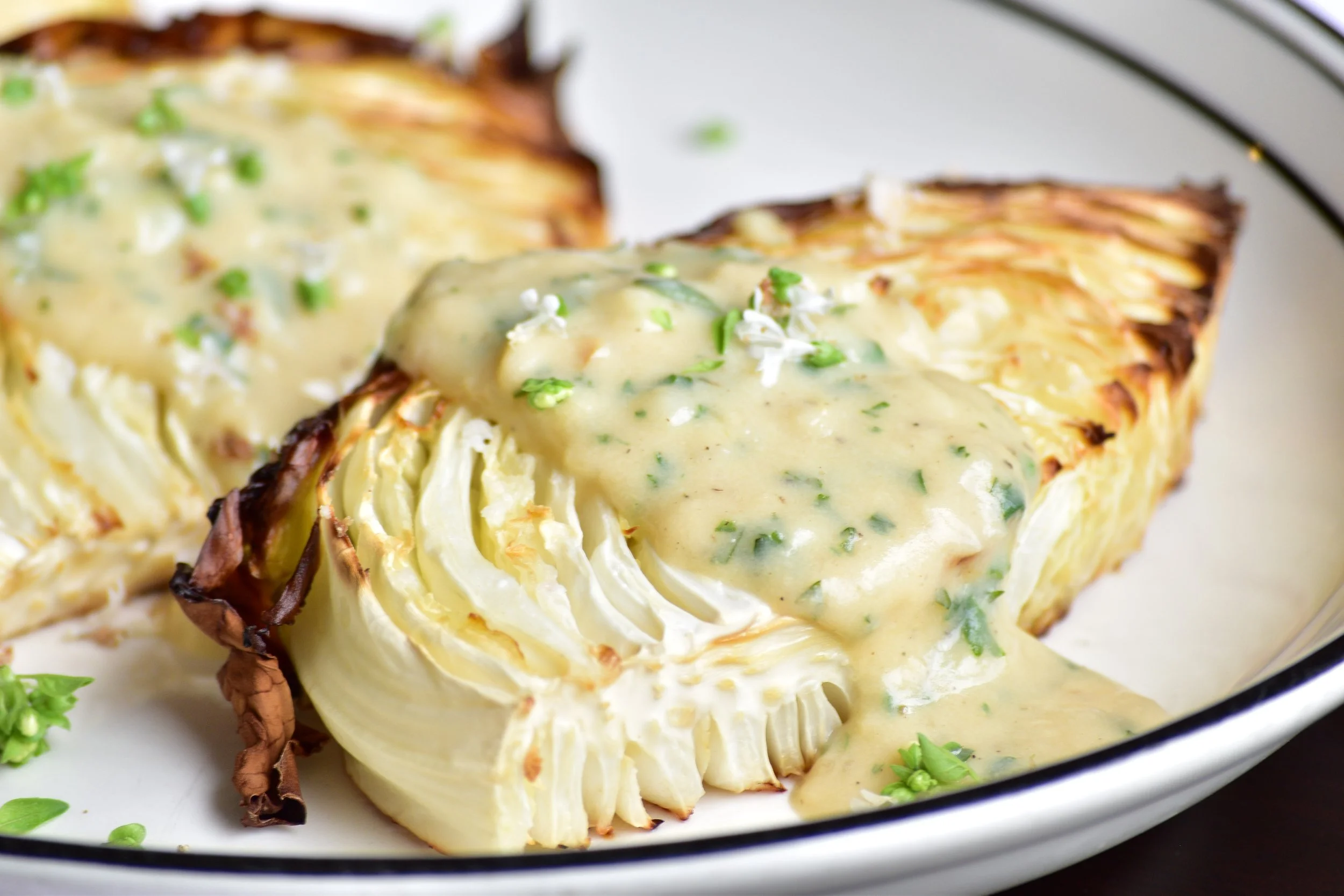 Danlí y repollo con salsa bechamel 