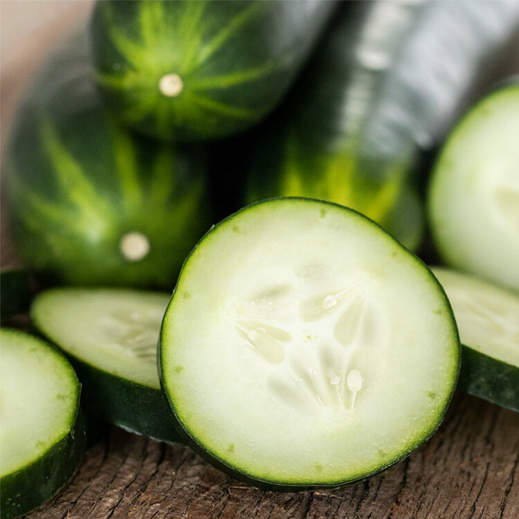 fresh-picked-cucumber-FO-web.jpeg