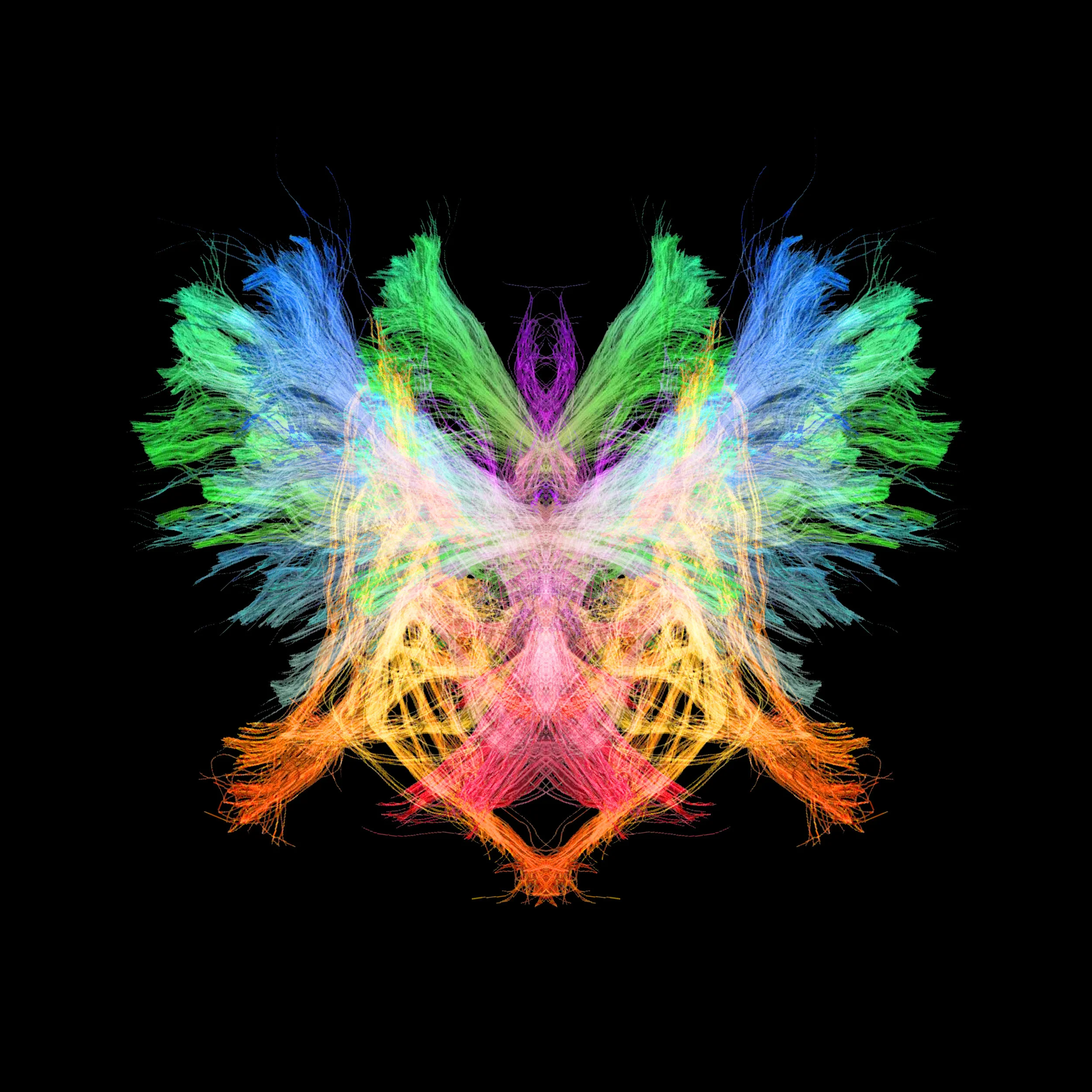 Blizzards Artwork no text (2).jpg